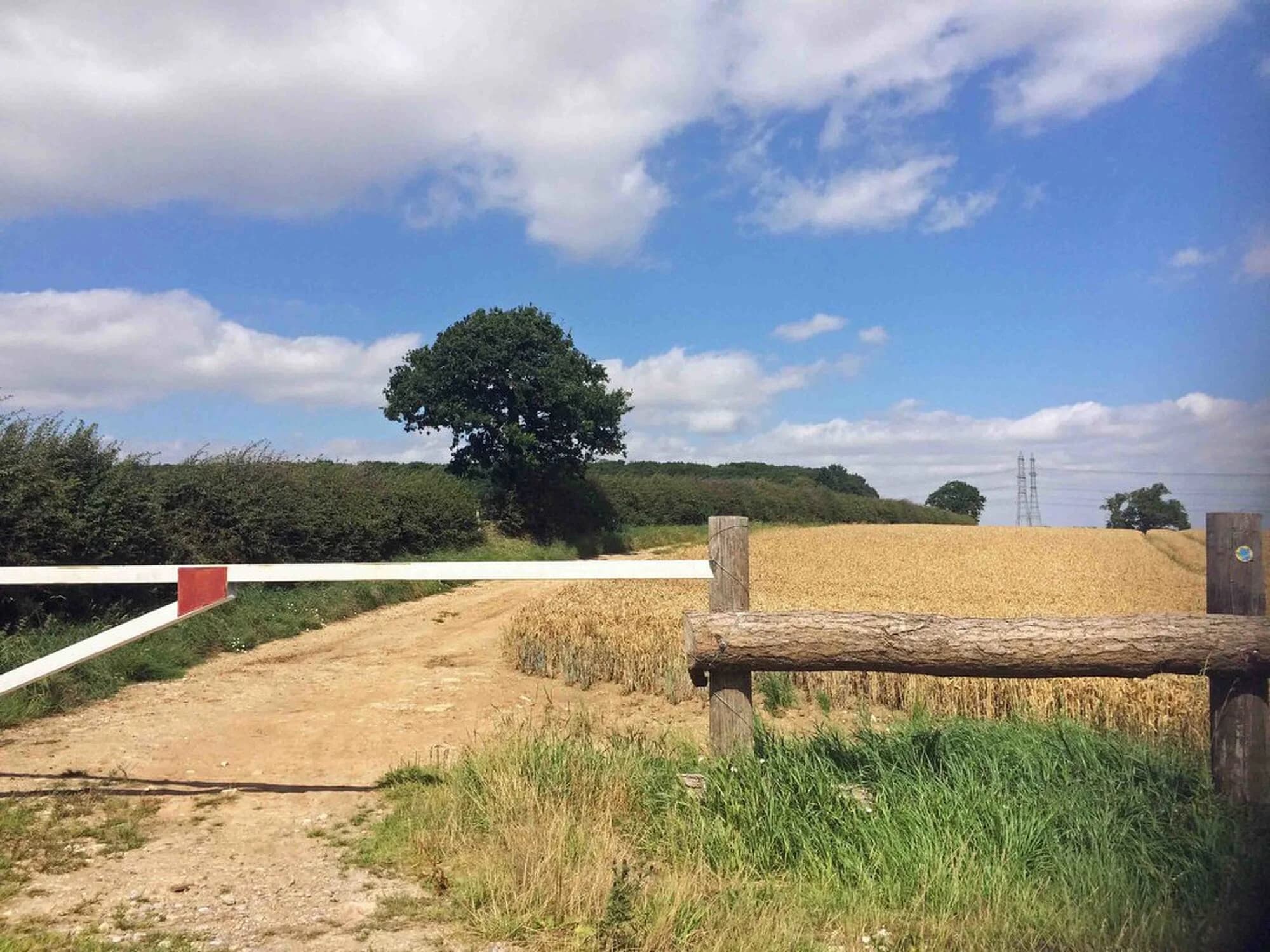 Vets in Barton Upon Humber