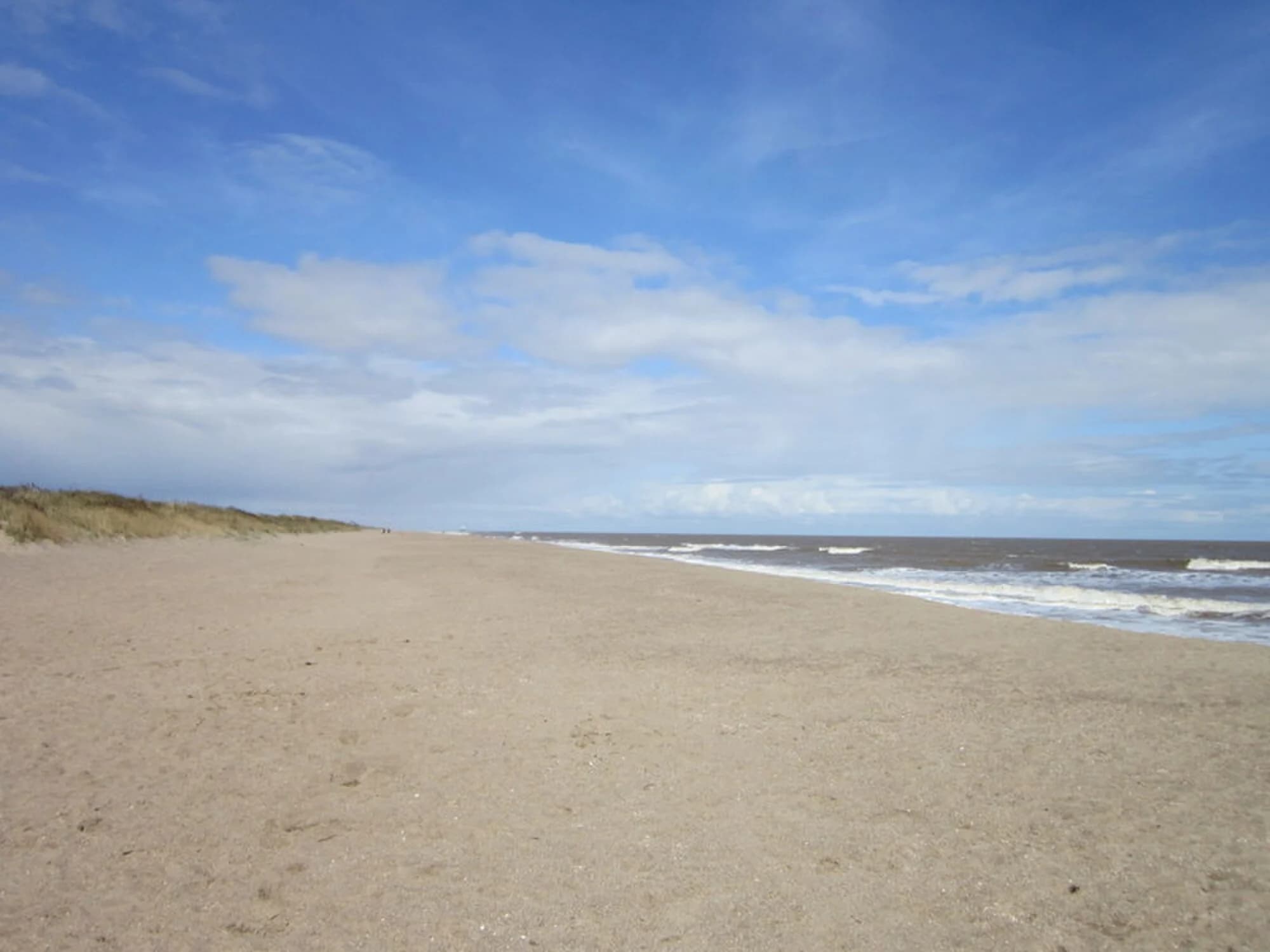 Vets in Chapel St Leonards